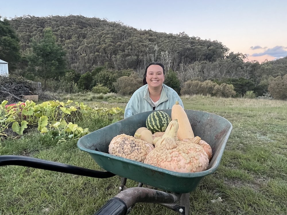 Wonky Carrot Homestead